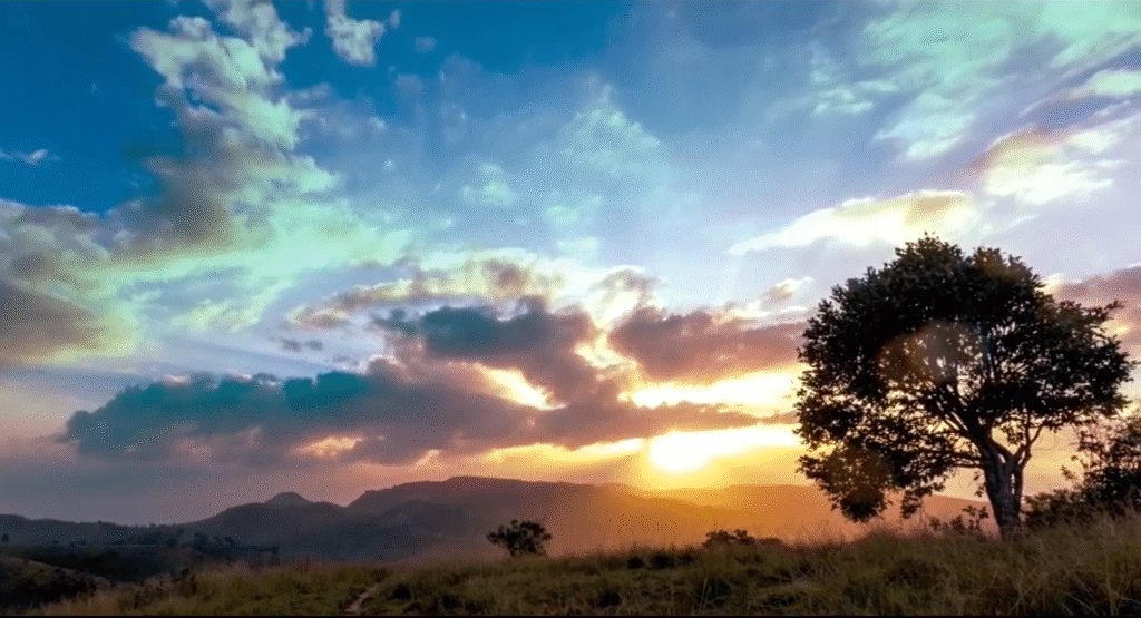 screenshot 2025 10 21 120435 2